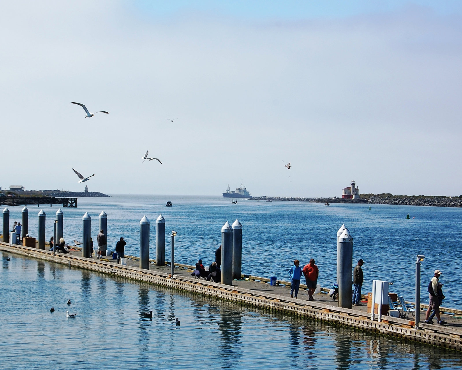 Murray Dock with Sea Gulls and Coquille Lighthouse