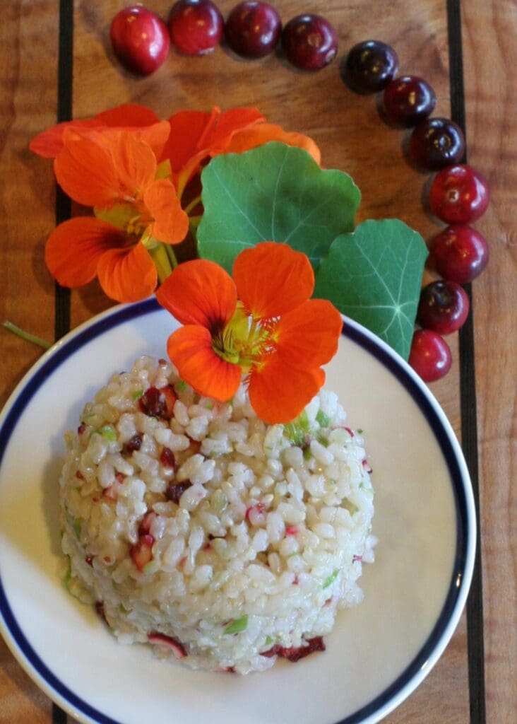 cranberry sticky rice, nasturtium garnish, Bandon, Oregon