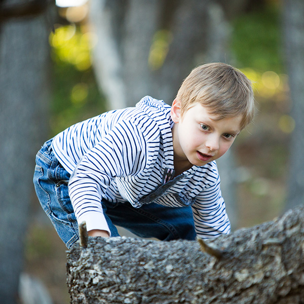 tree climbing youth bandon oregon cardas photography
