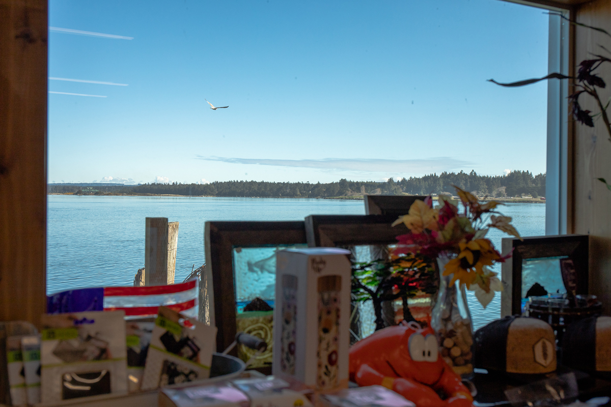 coquille river view